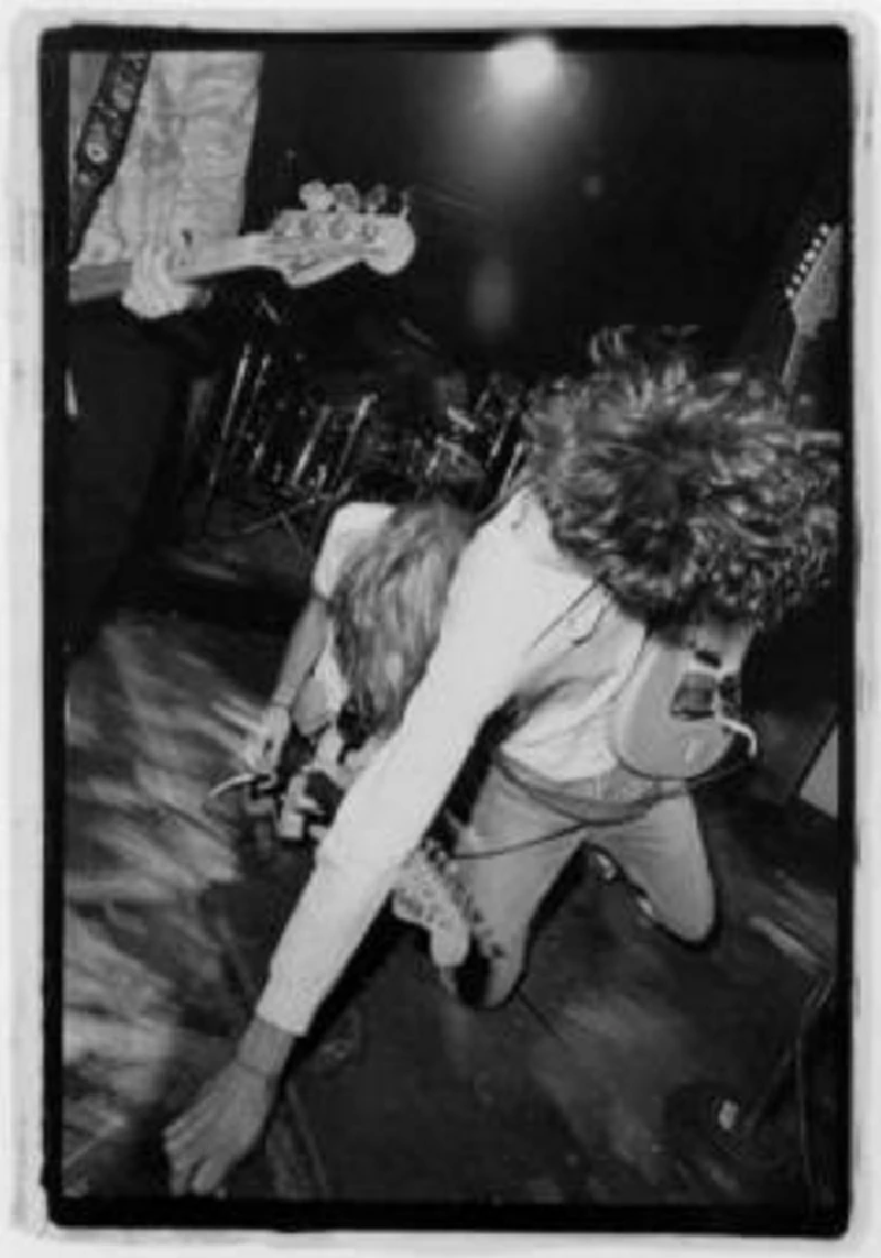 Mudhoney - Interview