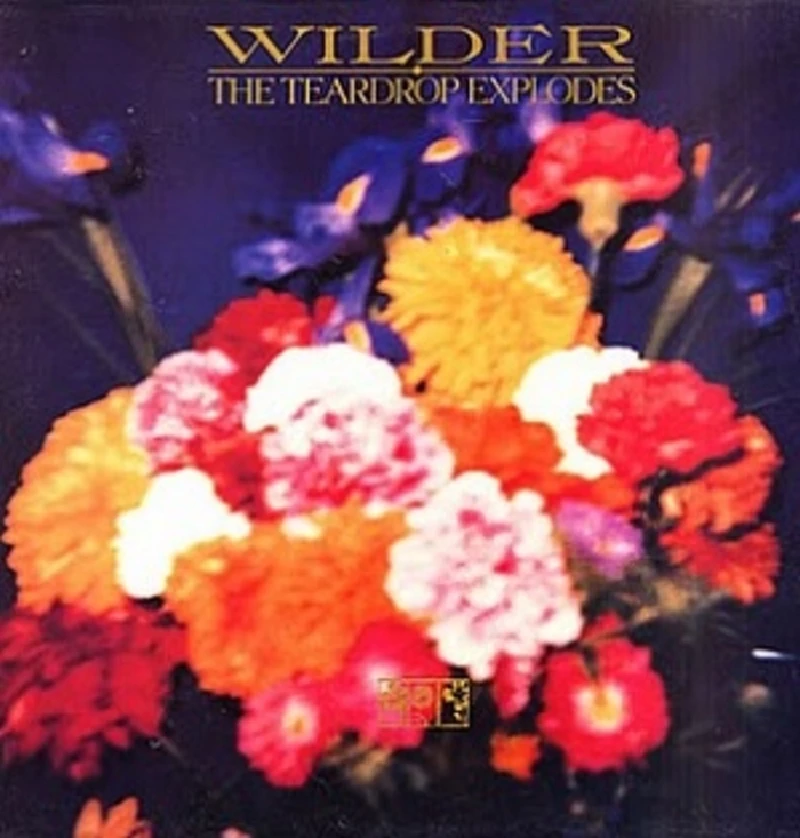 Teardrop Explodes - Wilder