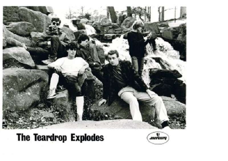 Teardrop Explodes - Wilder