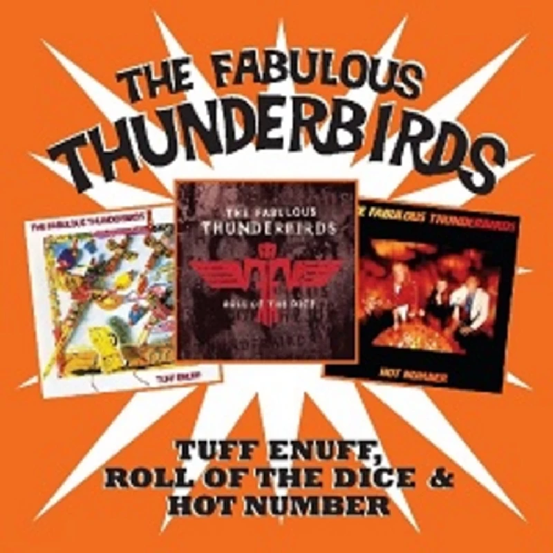 Fabulous Thunderbirds - Profile