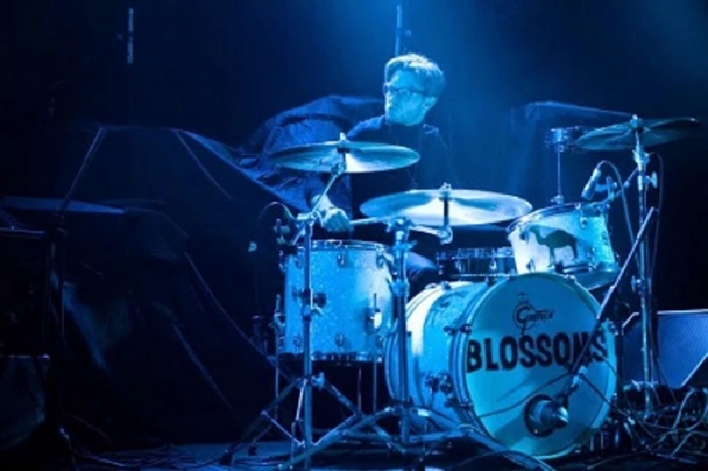 Blossoms - Photoscapes