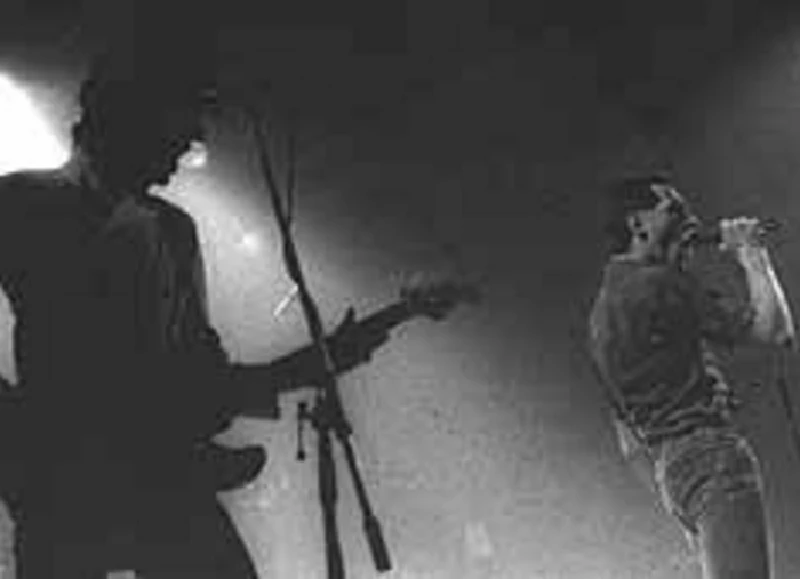 Ruts - Life After Death ? : A Profile