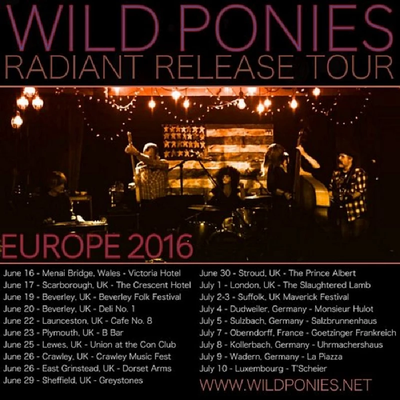 Wild Ponies - Greystones, Sheffield, 29/6/2016