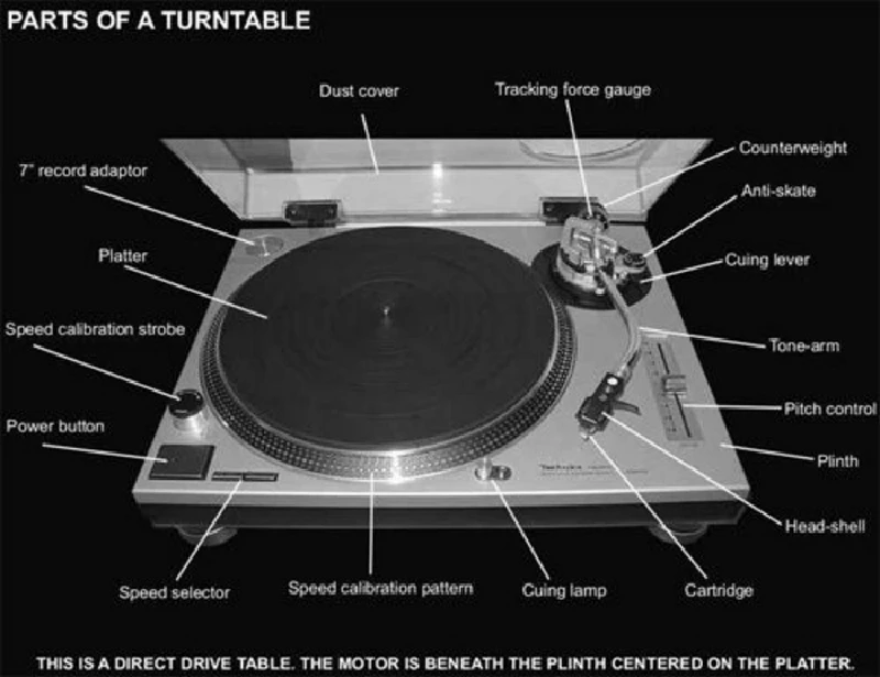 Miscellaneous - Planet Vinyl A Natural History Part 2