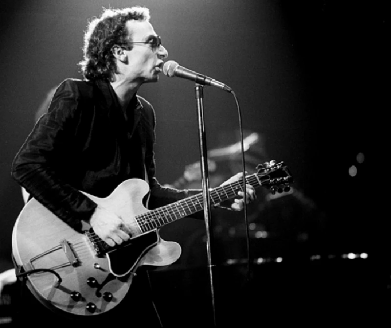 Graham Parker - Ten Songs That Made Me Love...