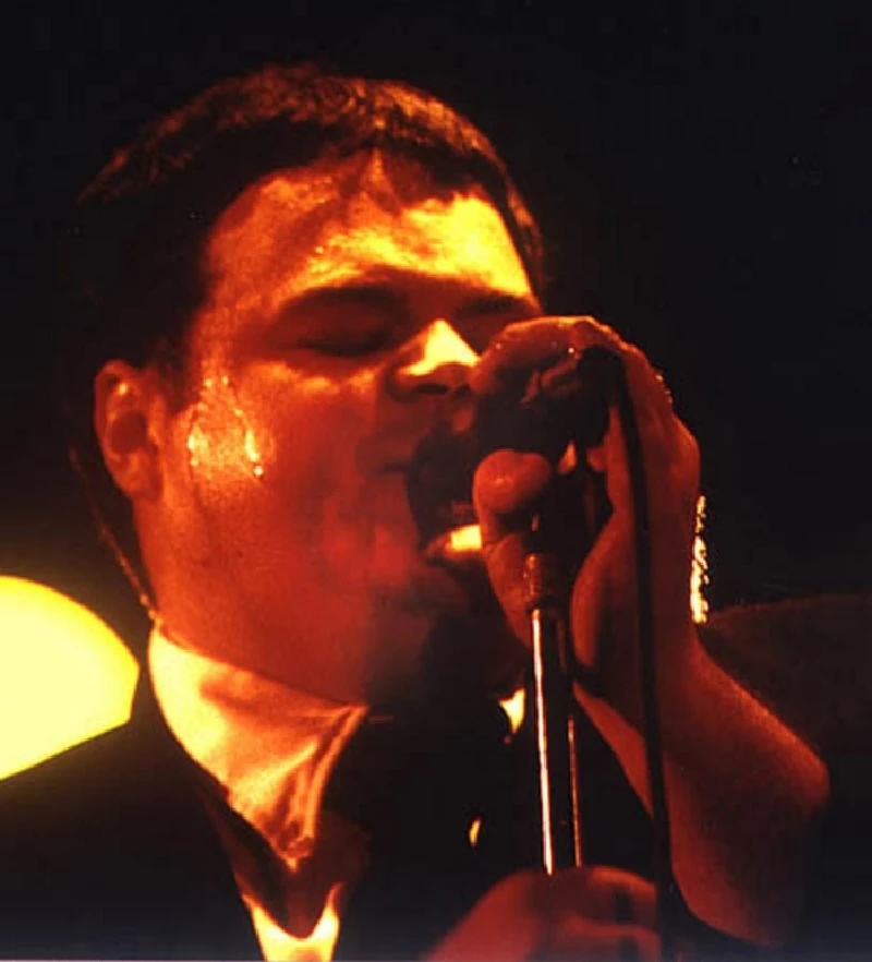 Pere Ubu - Interview