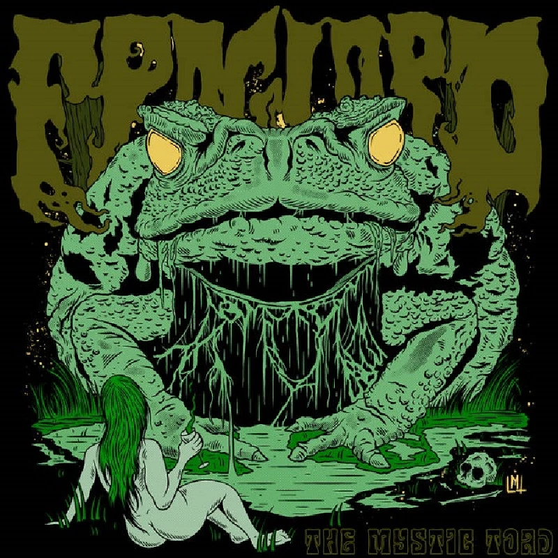 Bandcamp Explorer - Fuzz Fancies