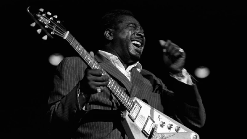 BB King, Albert King and Freddie King - Three Kings