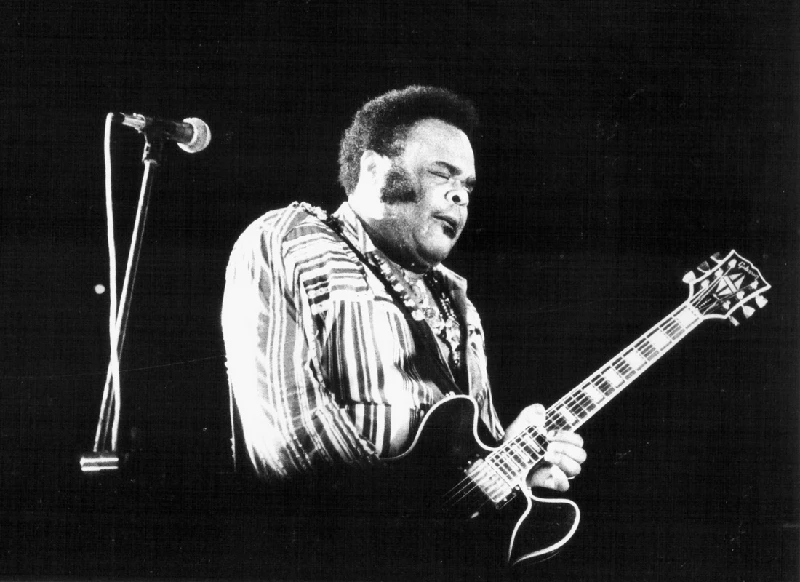 BB King, Albert King and Freddie King - Three Kings