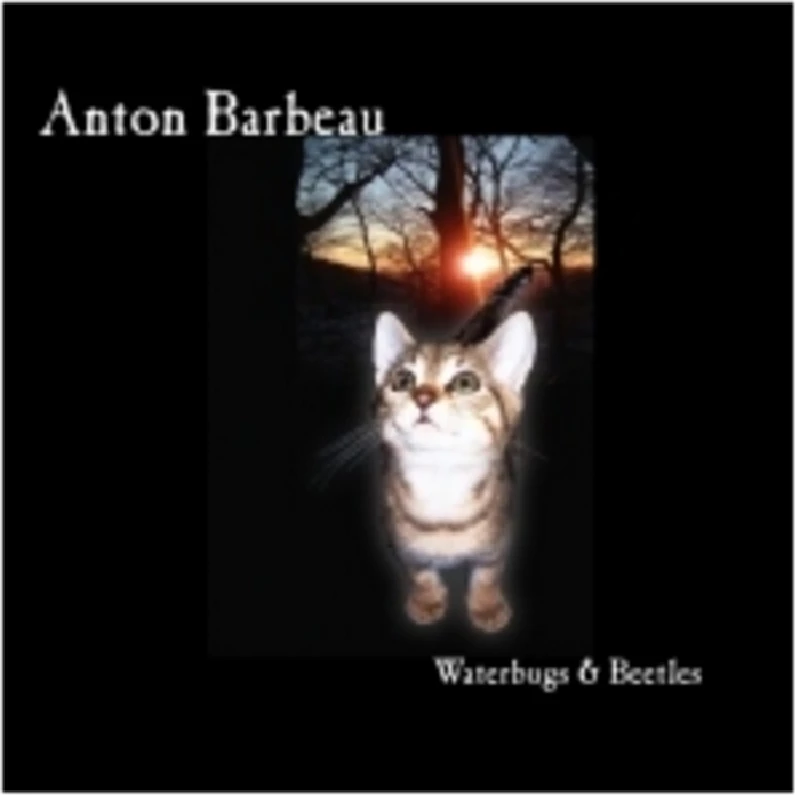 Anton Barbeau - Profile