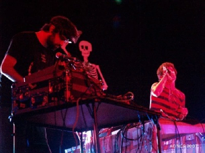 Animal Collective - Bronson Theatre Centre, Ottawa, 8/9/2007