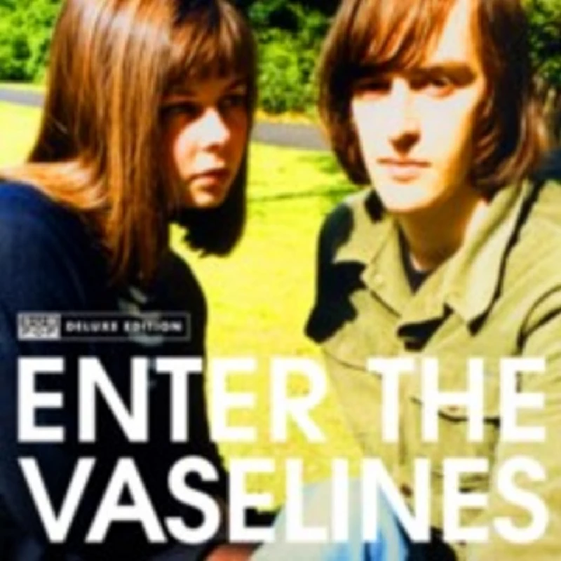 Vaselines - Interview