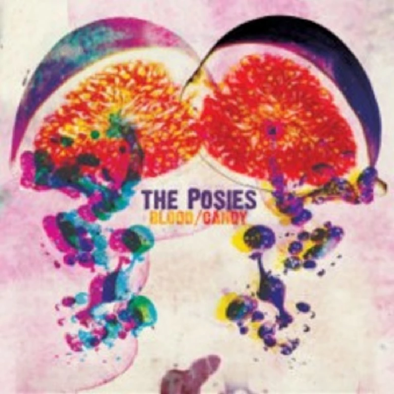 Posies - Interview