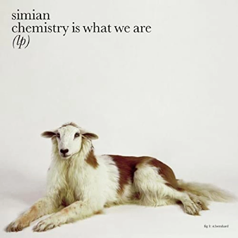 Simian - Chemistry Is What We Are