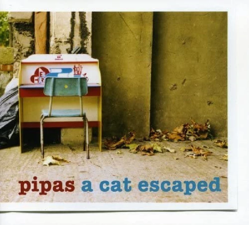 Pipas - A Cat Escaped