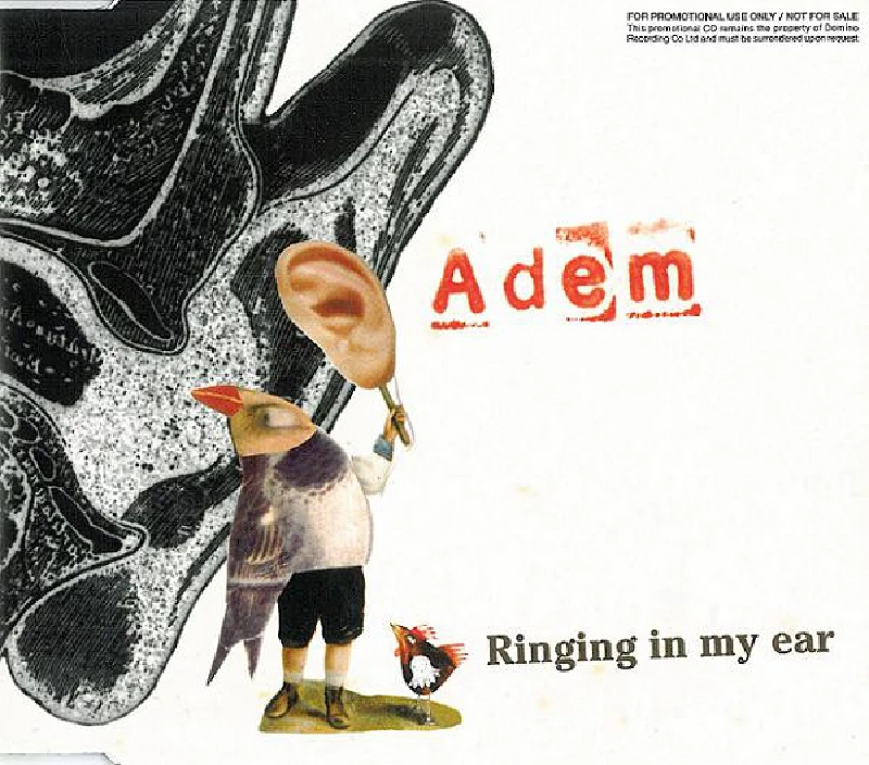 Adem - Ringing In My Ear