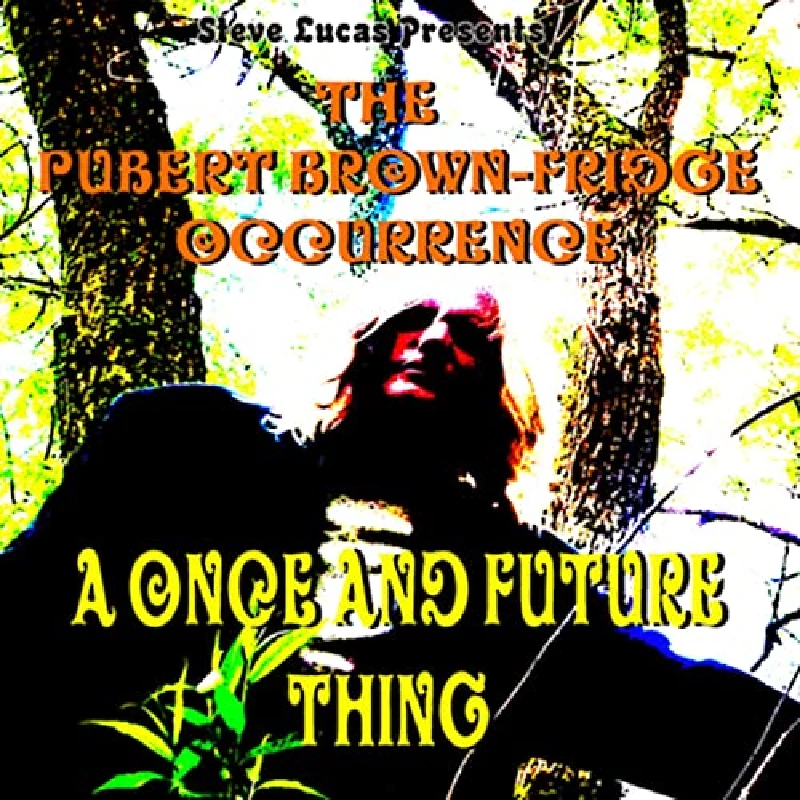 Pubert Brown Fridge Occurence - Once And Future Thing
