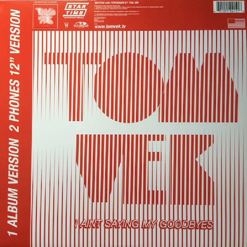 Tom Vek - I Ain't Saying My Goodbyes