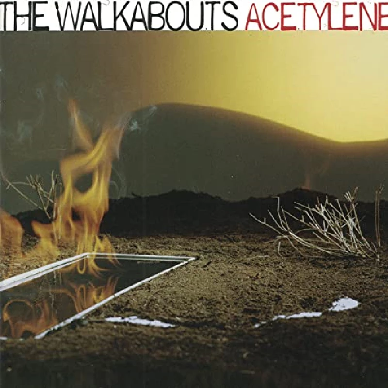 Walkabouts - Acetylene