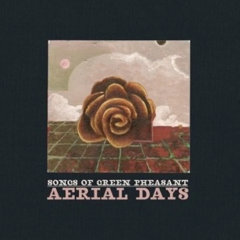 Songs of Green Pheasant - Aerial Days