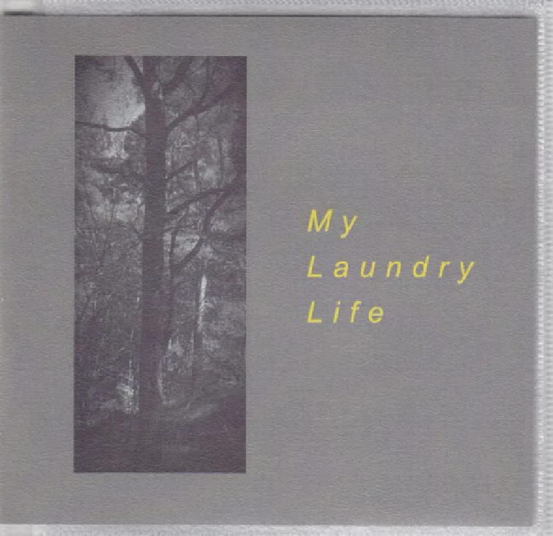 My Laundry Life - The Art of Science