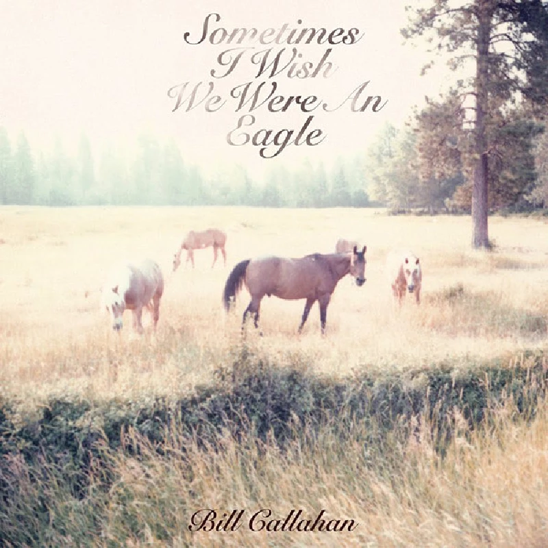 Bill Callahan - Sometimes I Wish We Were An Eagle