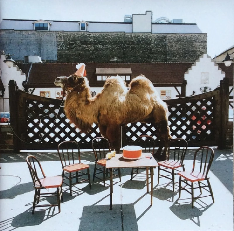 Wilco - Wilco (the album)