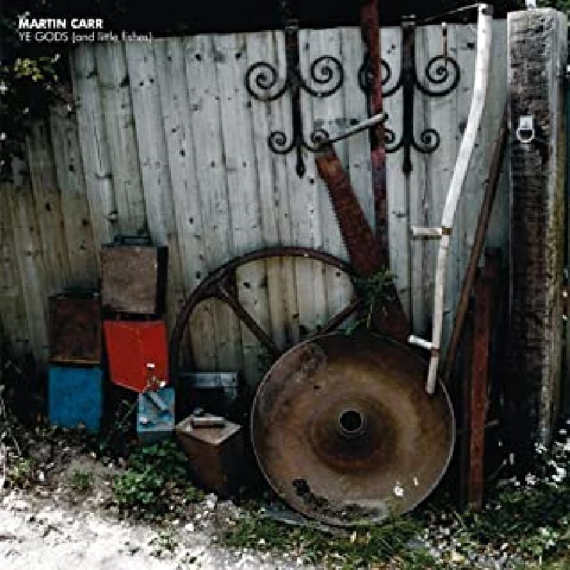 Chemistry Experiment - Gongs Played by Voice