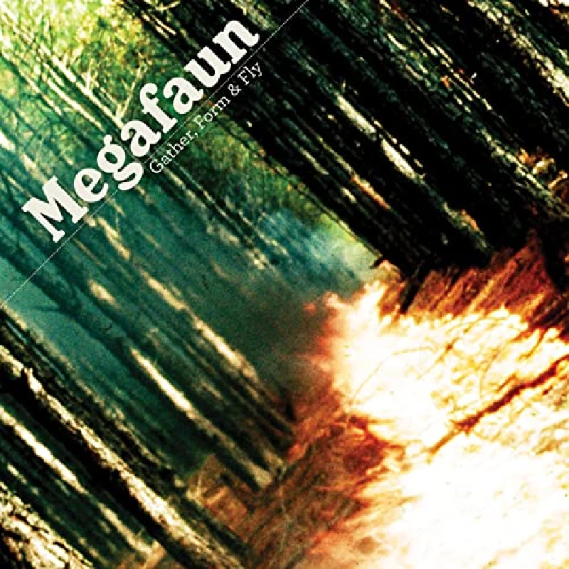 Megafaun - Gather, Form and Fly