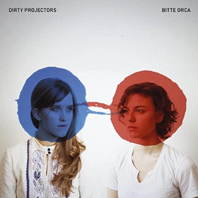 Dirty Projectors - Bitte Orca