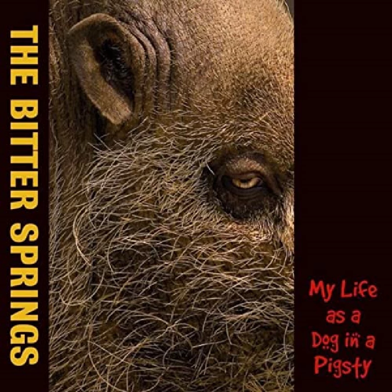 Bitter Springs - My Life as a Dog in a Pigsty