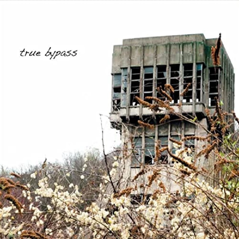 True Bypass - True Bypass