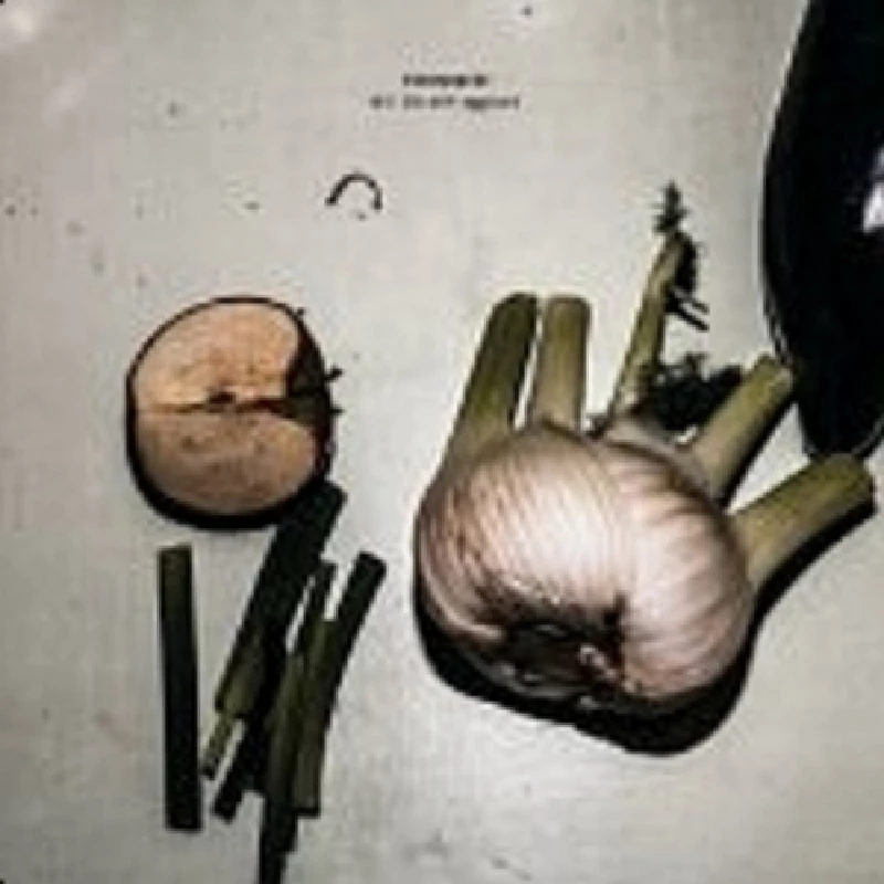 Motorpsycho - Still Life with Eggplant