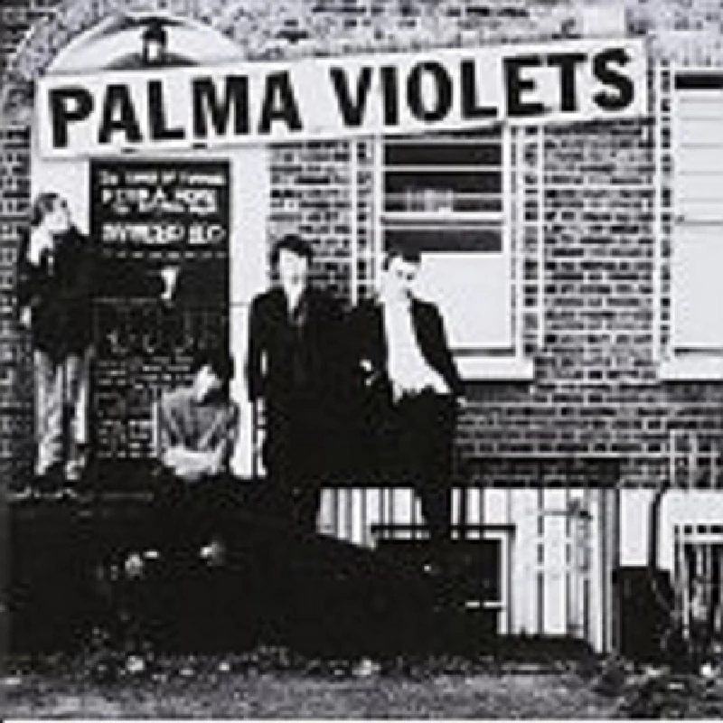 Palma Violets - 180