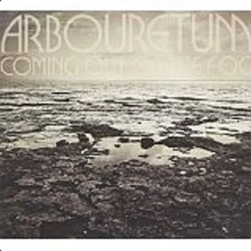 Arbouretum - Coming Out of the Fog