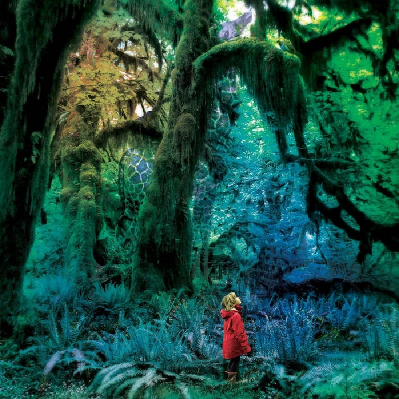 Jacco Gardner - Cabinet of Curiosities