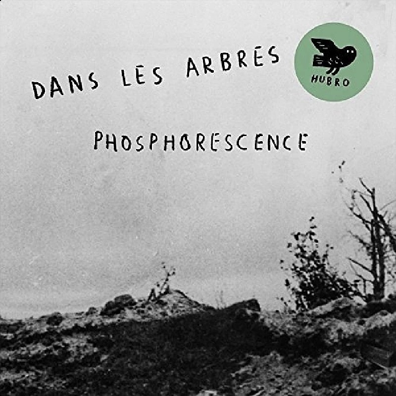 Dans Les Arbres - Phosphorescence