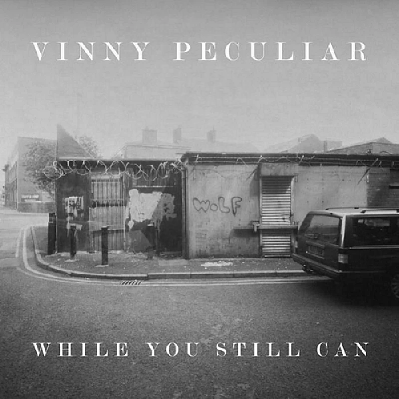 Vinny Peculiar - While You Still Can