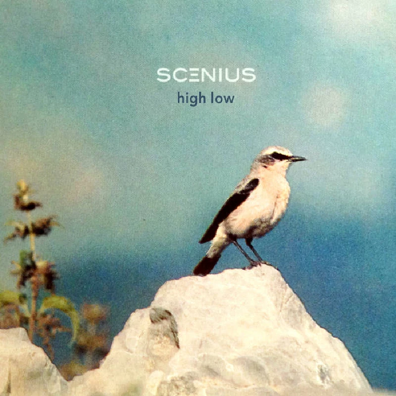 Scenius - High Low