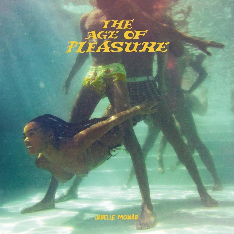 Janelle Monae - The Age of Pleasure